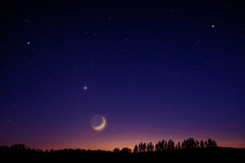 Moon and Stars Decor